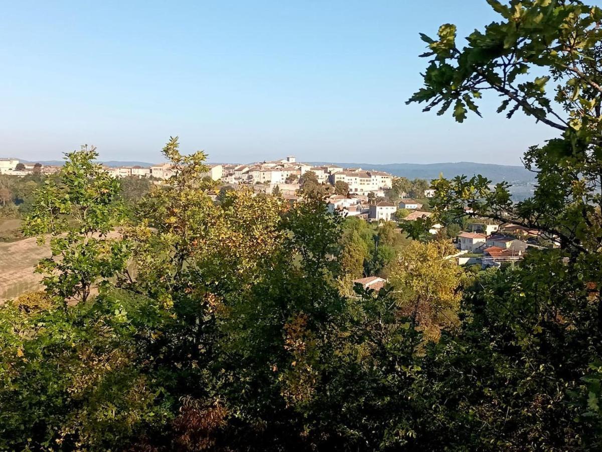 La Roulotte Du Tonnelier Βίλα Castelnau-de-Montmiral Εξωτερικό φωτογραφία